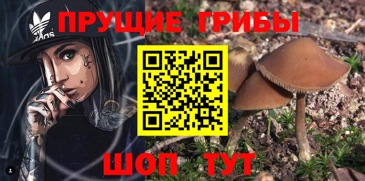 Героин Зеленогорск