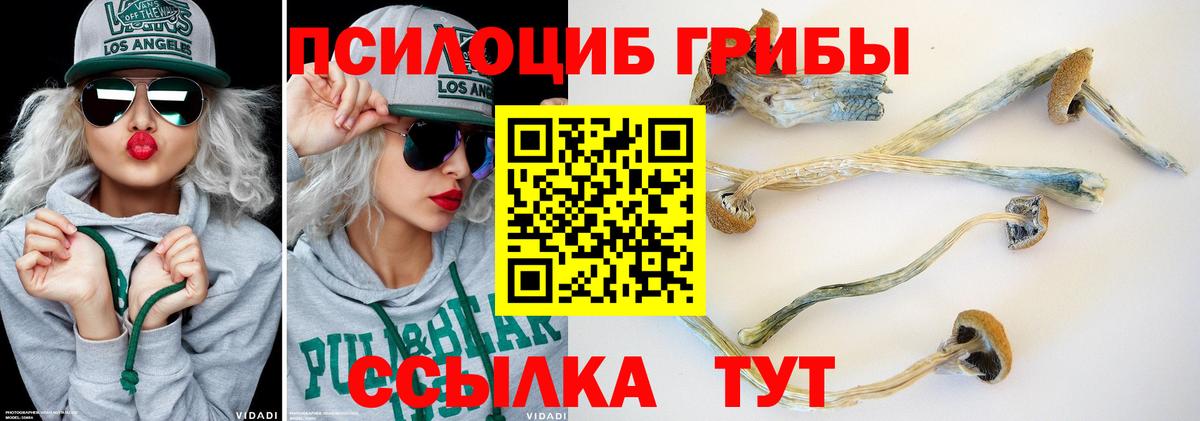 Где купить наркотики?  Зеленогорск  Каннабис  Вейп ТГК  Гашиш  Alpha PVP СК   МЕТАДОН  Меф   Вход с VPN  COCAIN 