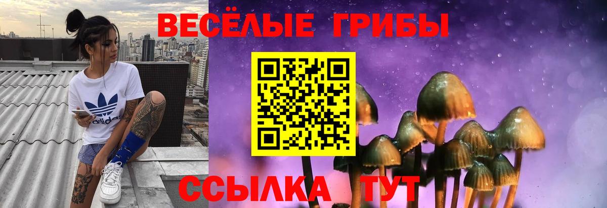 Псилоцибиновые грибы мицелий Зеленогорск