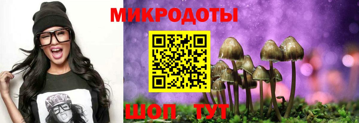 Зеленогорск  Галлюциногенные грибы Psilocybine cubensis  Псилоцибиновые грибы Cubensis  Вход с VPN 