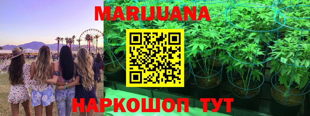 Бошки марихуана THC 21% Зеленогорск